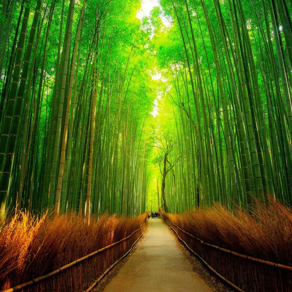 Swimwear - UNLISTED Item SOLD AS IS No Returns